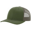 Color Olive