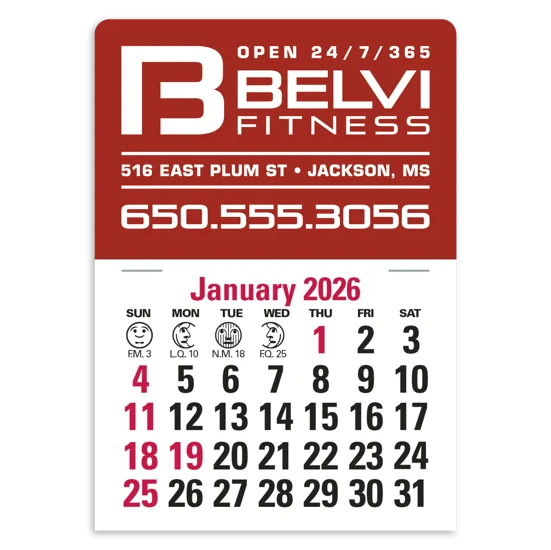 Triumph Calendars Black Vinyl Press-N-Stick Standard Calendar