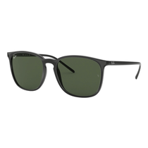 Ray-Ban Black RB4387 Sunglasses