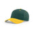 Richardson Dark Green/Gold On-Field Combination Pro Twill Snapback