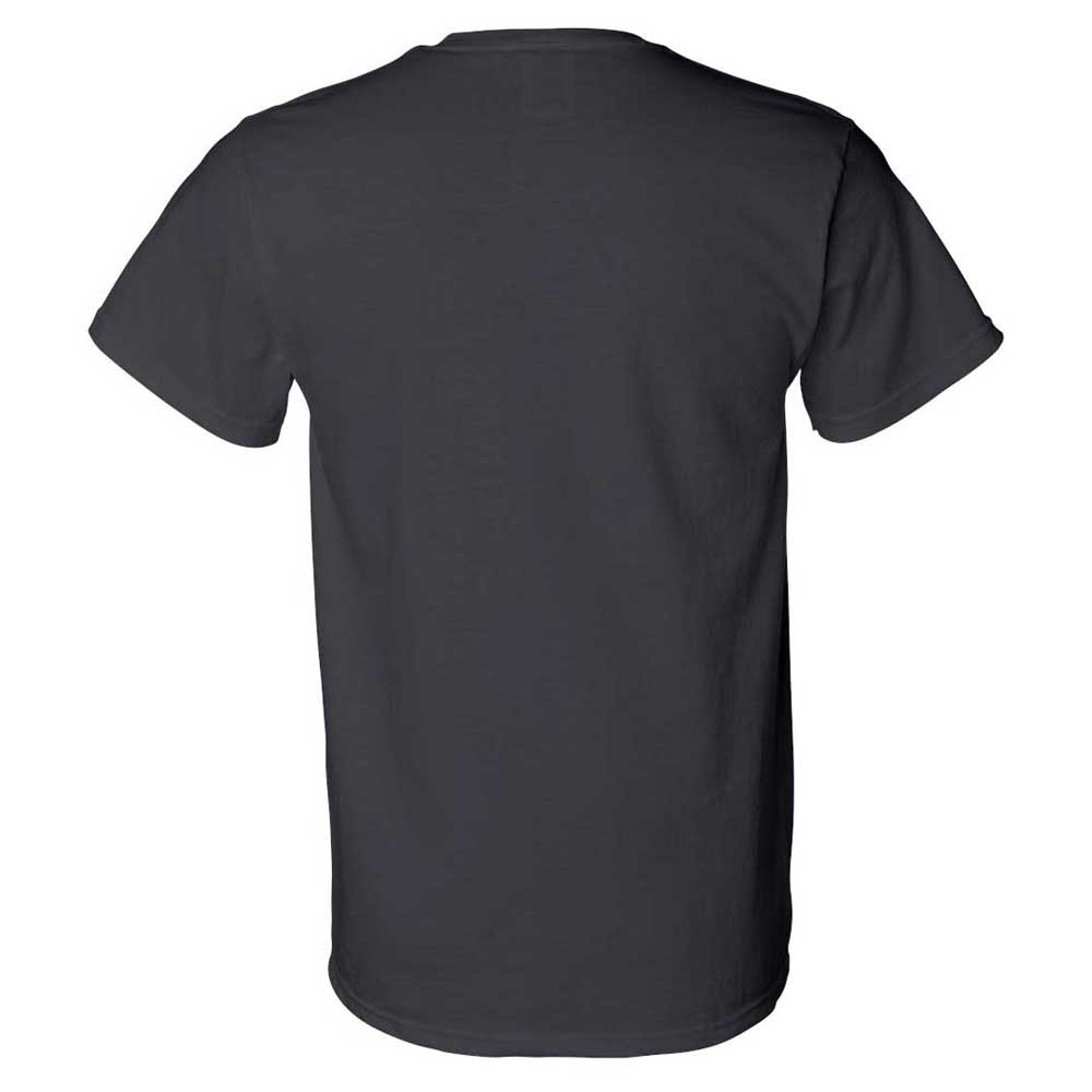 Fruit of the Loom Men's Black HD Cotton T-Shirt with a Pocket