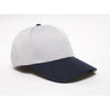 Color Ash Grey SF
