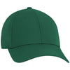 Ahead Georgia Green/Georgia Green Stratus Cap