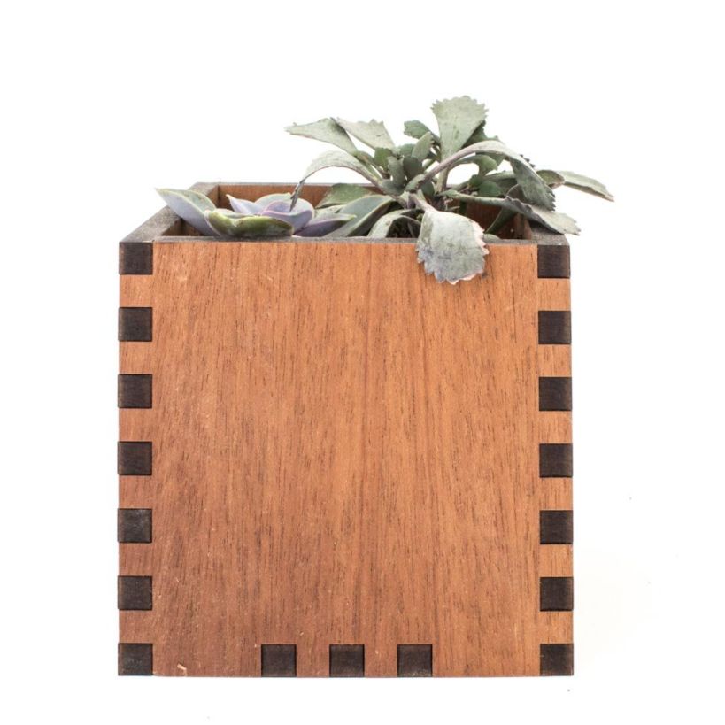 Woodchuck USA Mahogany Square Desktop Planter